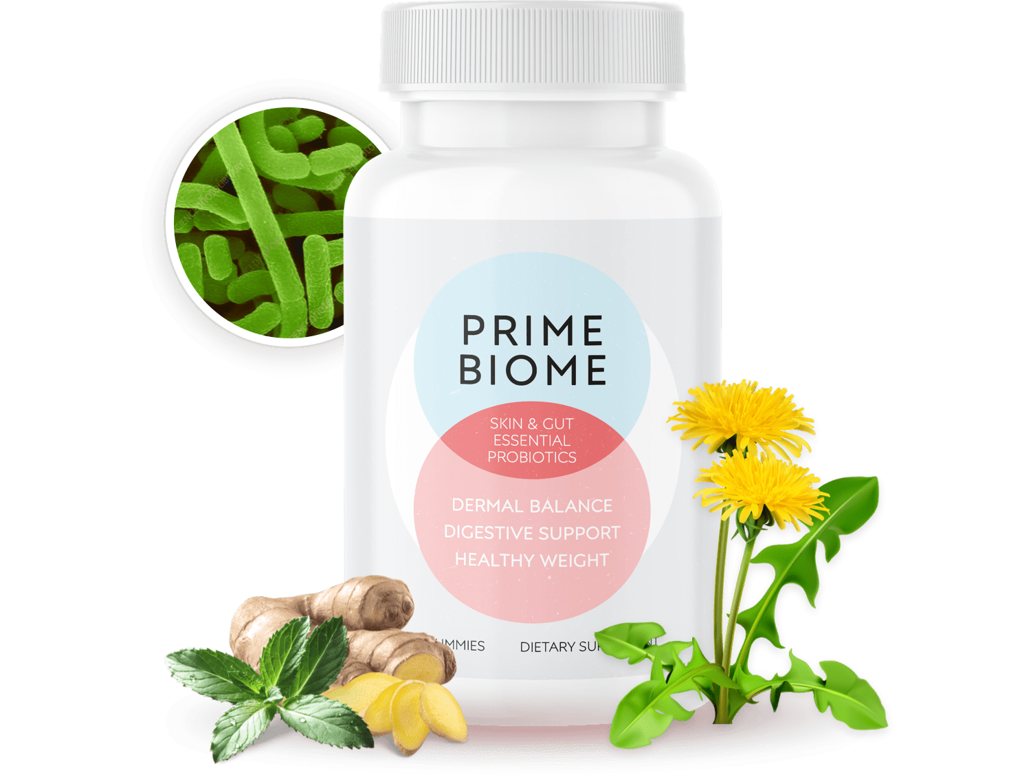 Buy PrimeBiome Official Dietary Probiotic Supplement Bottle